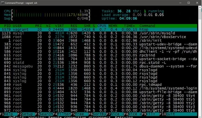 Introduction to htop